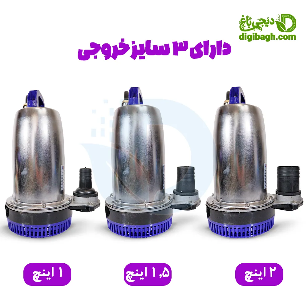 کفکش 12 ولت استیل 2 اینچ CNB - کف کش 12 ولت استیل - کفکش 12 ولت درجه 1 - خرید کفکش 12 ولت - قیمت کفکش 12 ولت - خرید پمپ آب 12 ولت - فروشگاه لوازم باغبانی - خرید لوازم باغبانی - لوازم باغبانی - دیجی باغ - لوازم باغبانی دیجی باغ